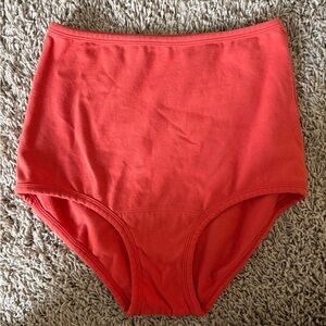 ARQ High Waisted Briefs Underwear